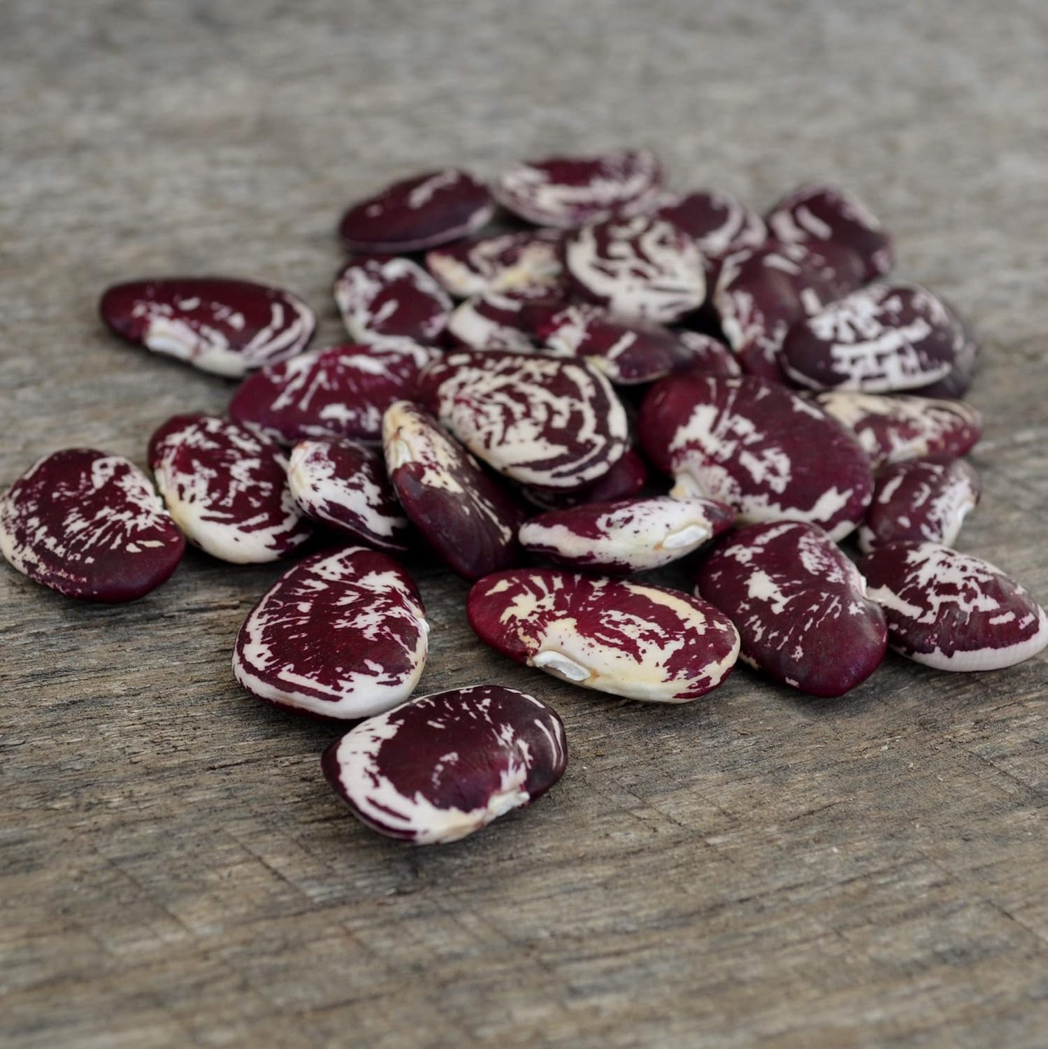 Rancho Gordo Heirloom Bean Sampler 6 Pack - Key Specifications