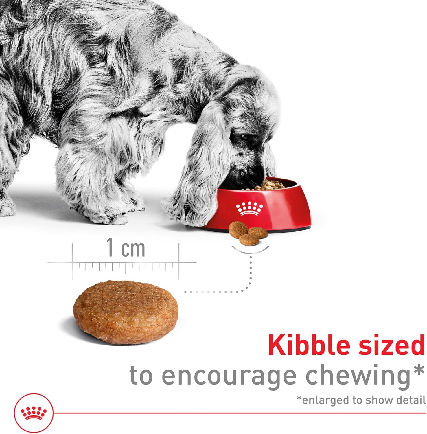 Royal Canin Medium Adult Dry Dog Food 30lb - Design and Build Quality