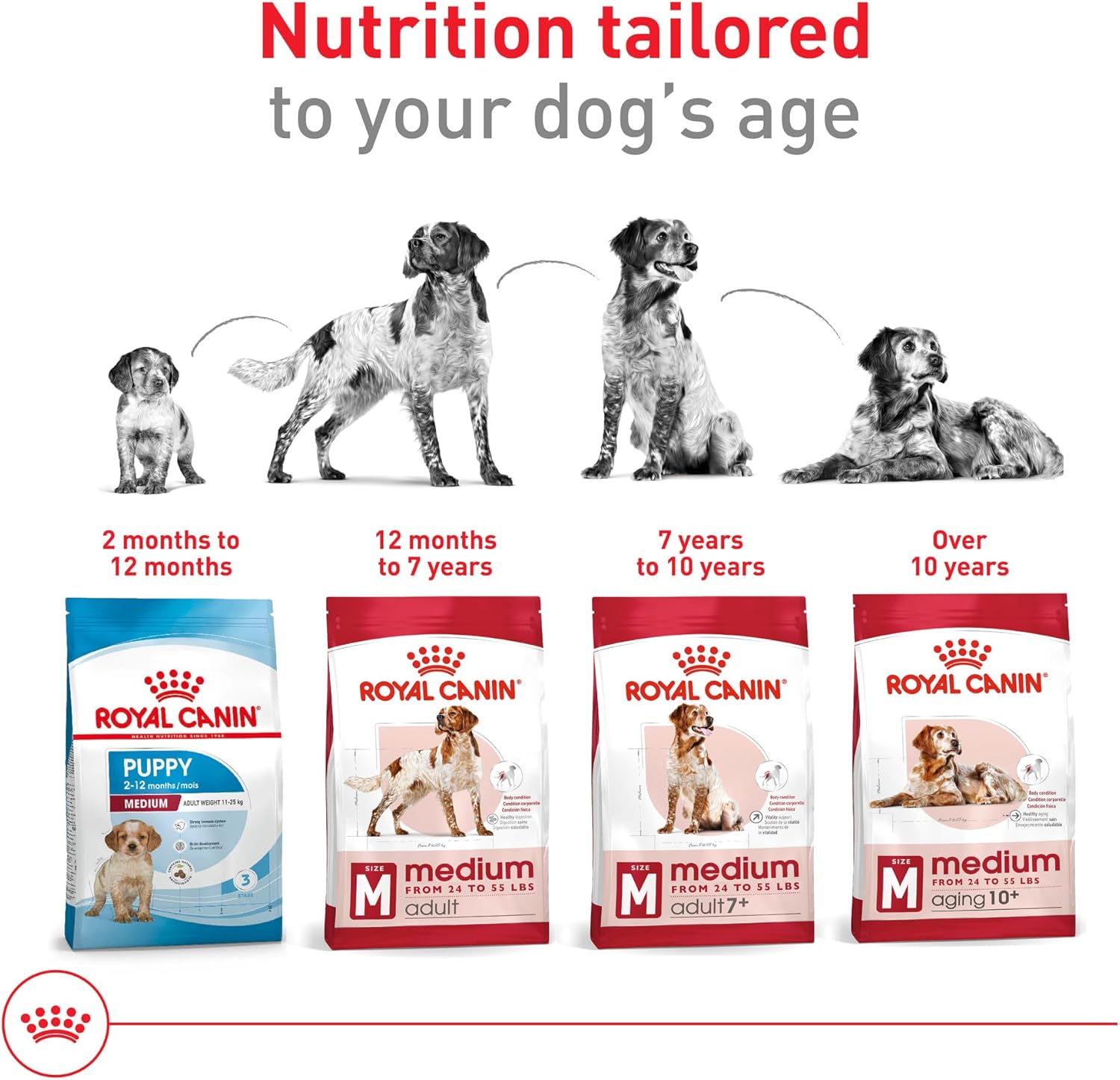Royal Canin Medium Adult Dry Dog Food 30lb - How It Compares