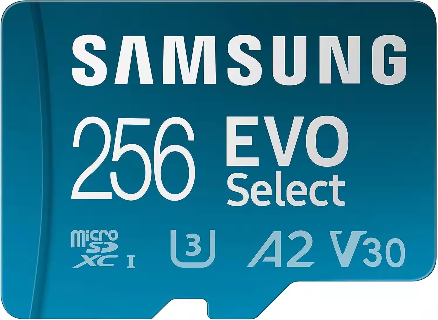 Samsung EVO Select 256GB microSDXC Card Review