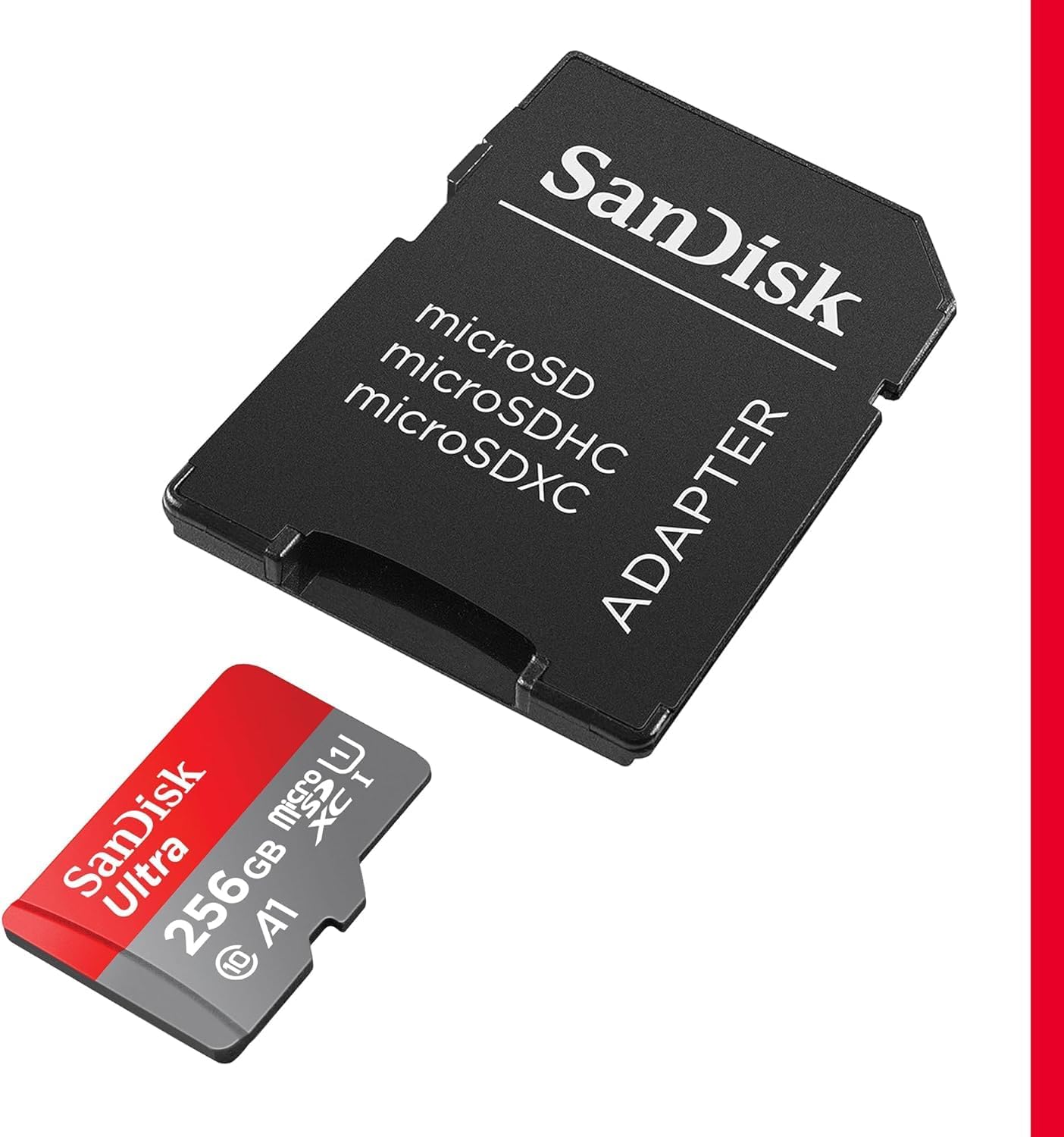 SanDisk 256GB microSD Card - Real-World Performance
