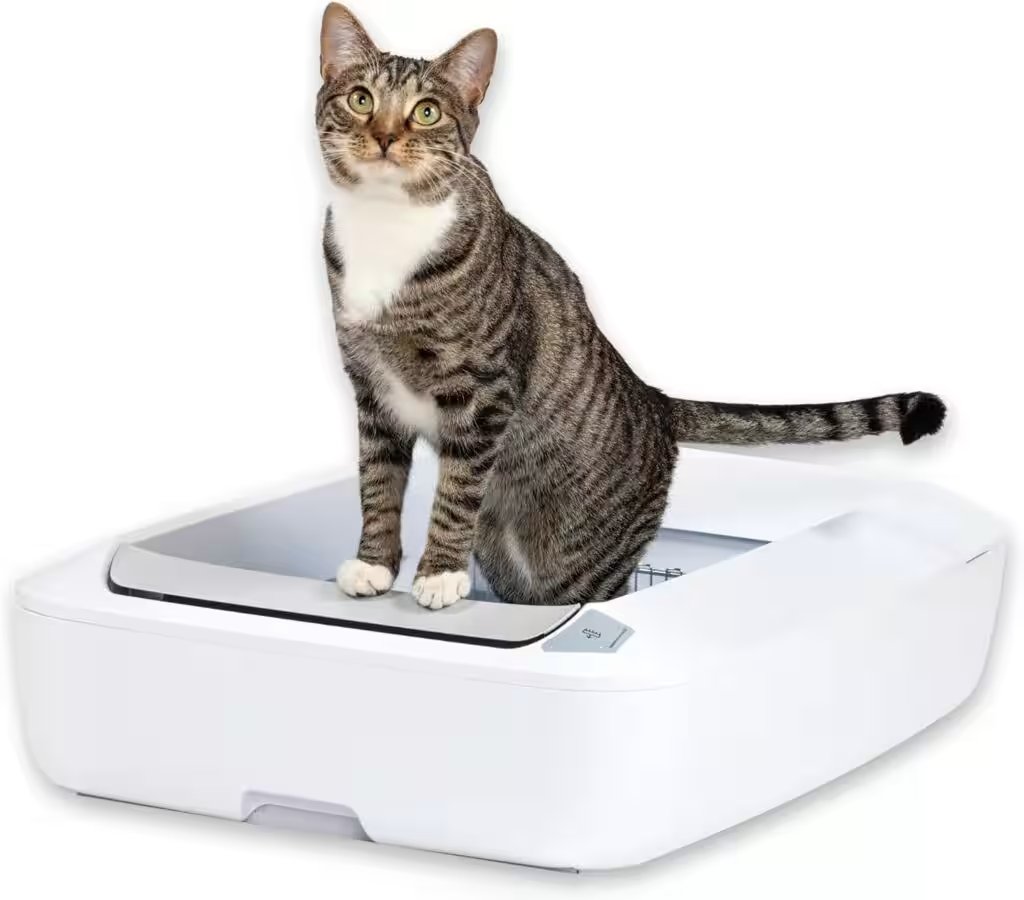 ScoopFree Complete Plus Self-Cleaning Cat Litter Box Review — The Amazon Favorite With 100,000+ Ratings Put to the Test - Product Image