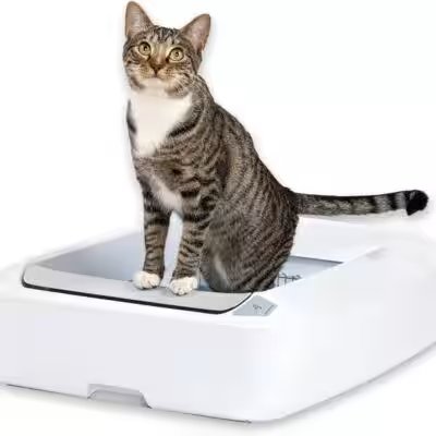ScoopFree Complete Plus Self-Cleaning Cat Litter Box Review — The Amazon Favorite With 100,000+ Ratings Put to the Test - Product Image