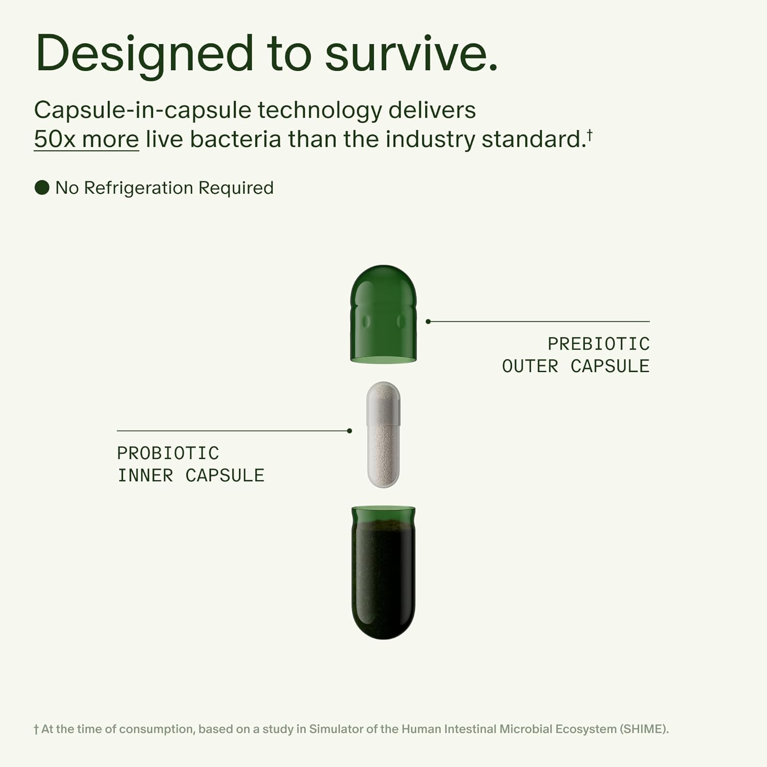 Seed DS-01 Daily Synbiotic Probiotic 60 Capsules - Real-World Performance