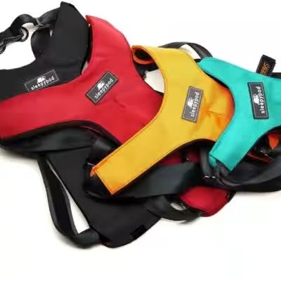 Sleepypod Clickit Sport Dog Car Safety Harness Medium Review 2026: Our Honest Verdict After Weeks of Testing - Product Image