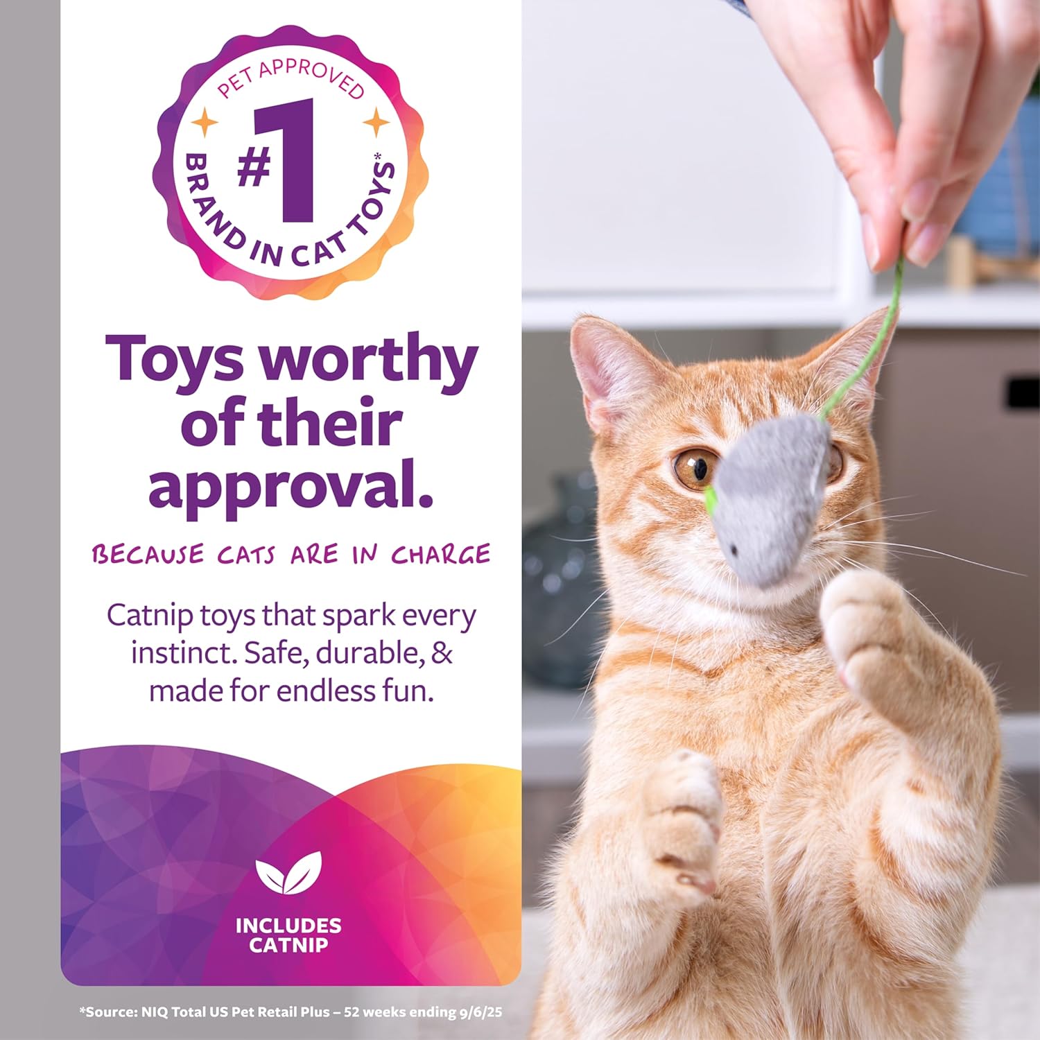 SmartyKat Skitter Critters Catnip Toys 10 Pack - Key Specifications