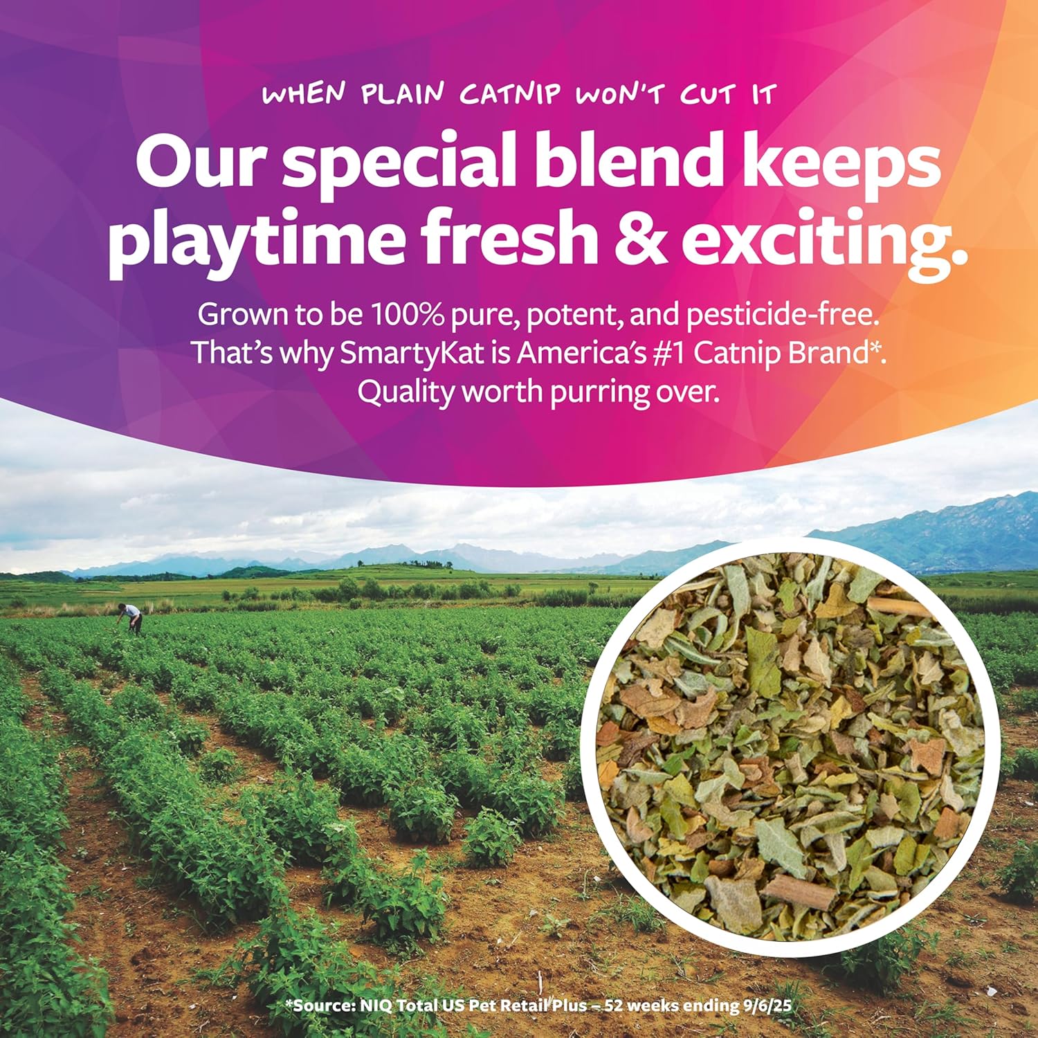 SmartyKat Skitter Critters Catnip Toys 10 Pack - Real-World Performance