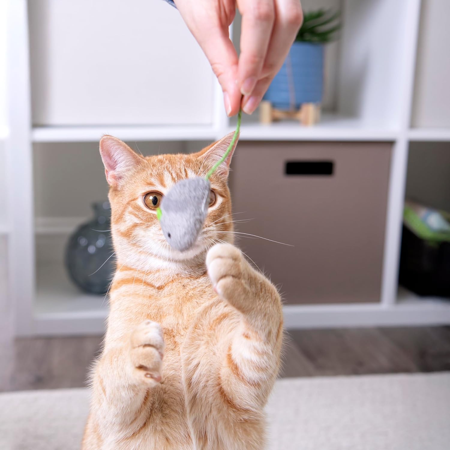 SmartyKat Skitter Critters Catnip Toys 10 Pack - Is It Worth the Price?