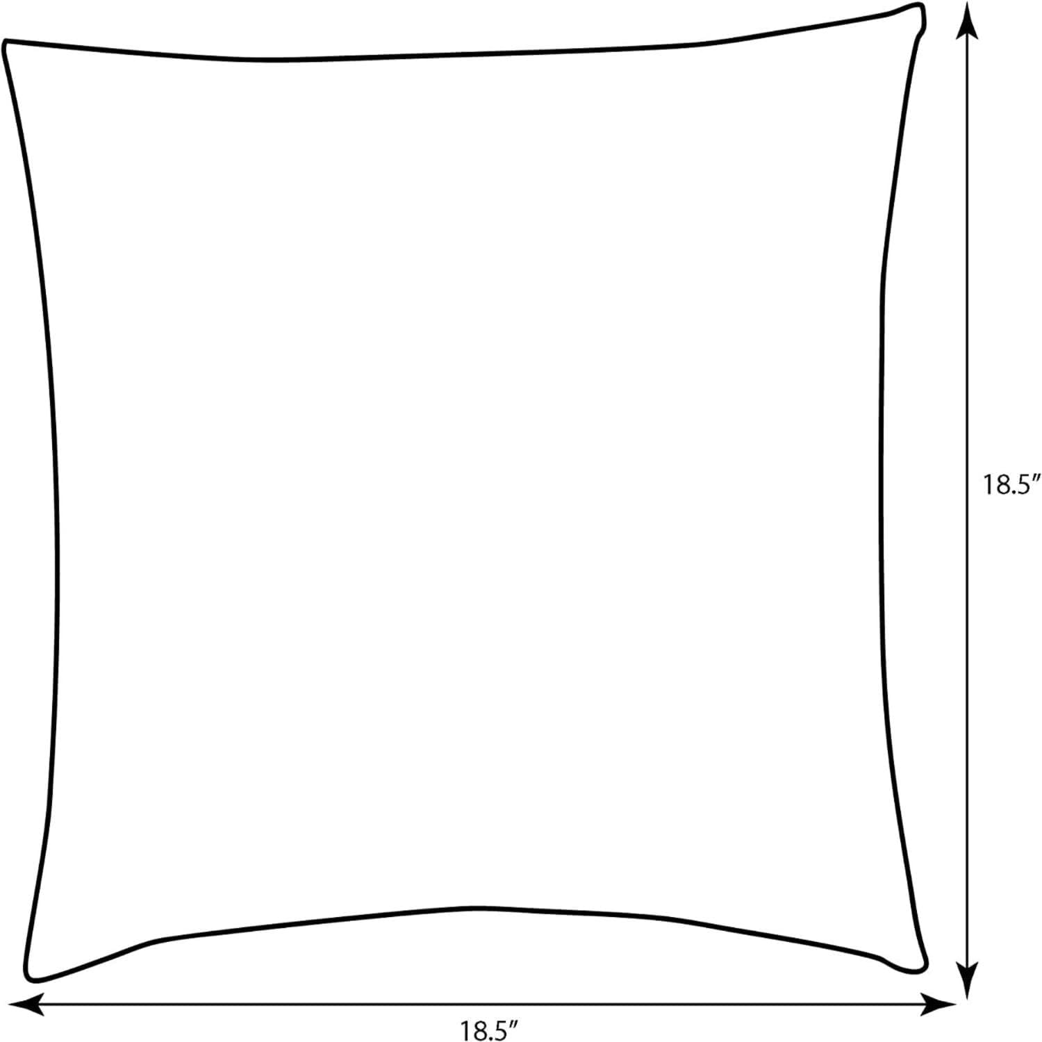 Sunbrella Outdoor Throw Pillow 18 x 18 Inch 2 Pack - Key Specifications