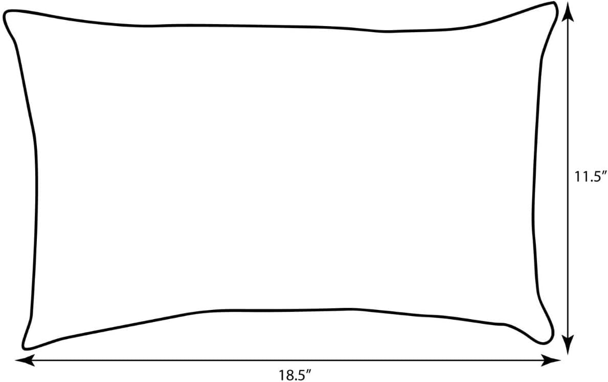 Sunbrella Outdoor Throw Pillow 18 x 18 Inch 2 Pack - Final Verdict