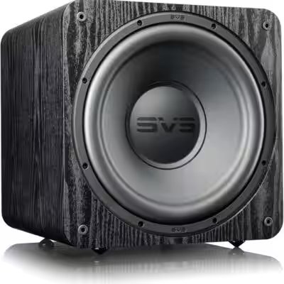 SVS SB-1000 Pro 12 Inch Sealed Subwoofer Review 2026: Is the Amazon Bestseller Worth the Hype? - Product Image