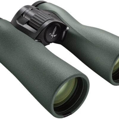 Swarovski NL Pure 10x42 Binoculars Review: We Tested the Amazon Bestseller So You Don't Have To - Product Image