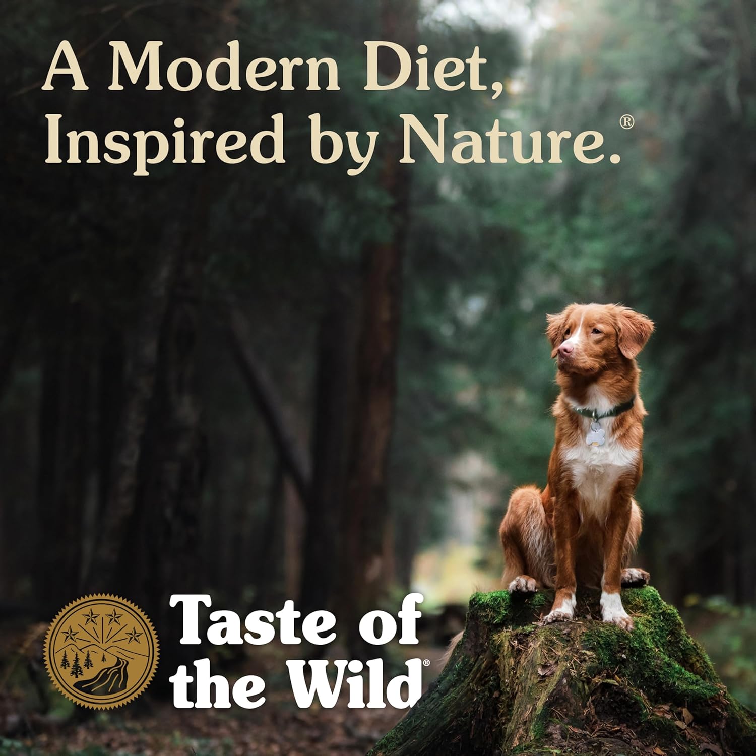 Taste of the Wild High Prairie Grain Free Dog Food 28lb - Is It Worth the Price?