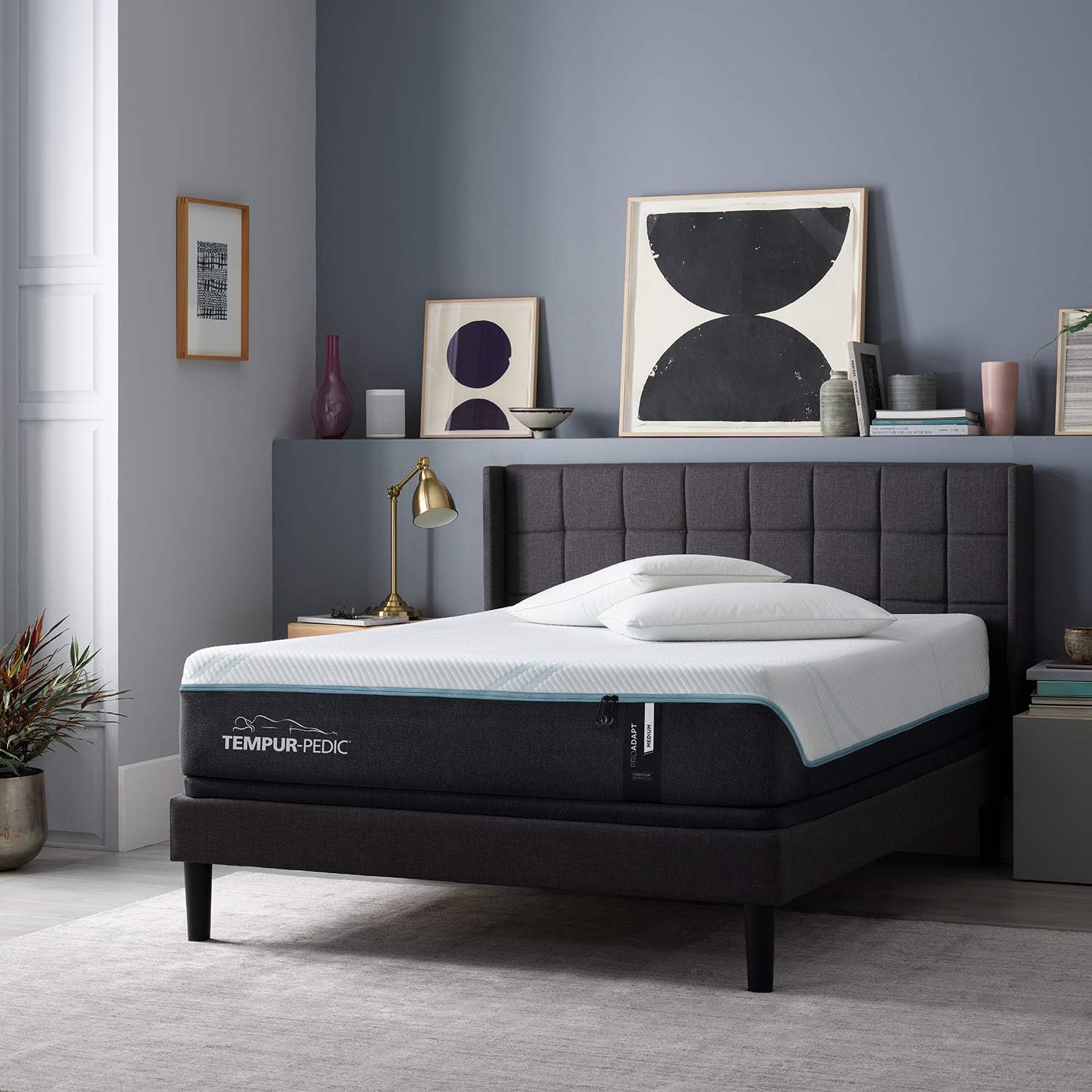 Tempur-Pedic TEMPUR-ProAdapt Mattress Medium Queen Review