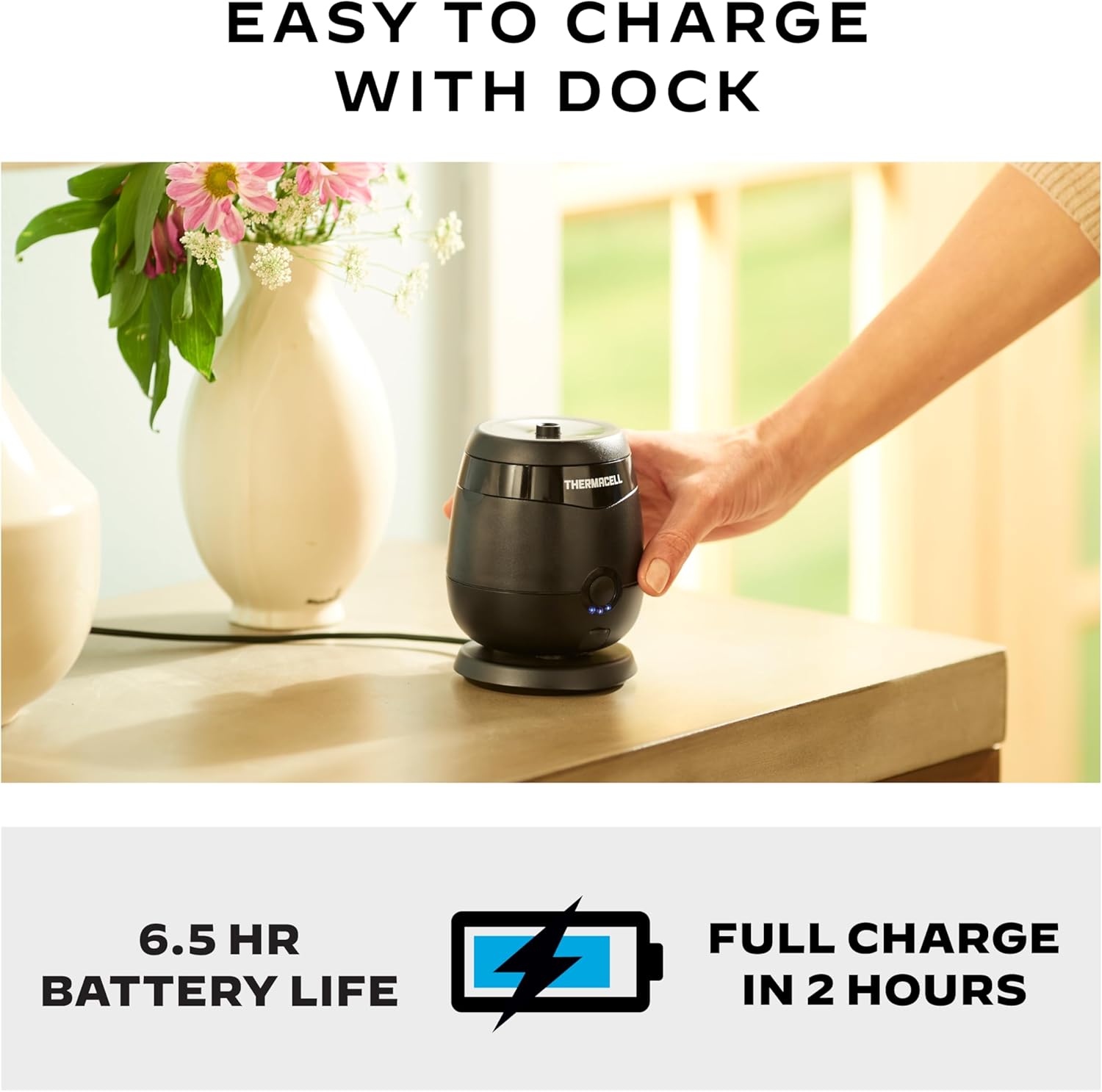 Thermacell Patio Shield Mosquito Repeller - Performance Testing