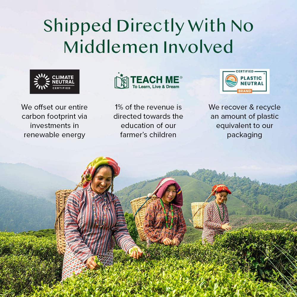 Vahdam India's Original Masala Chai Tea 100 Bags - Final Verdict