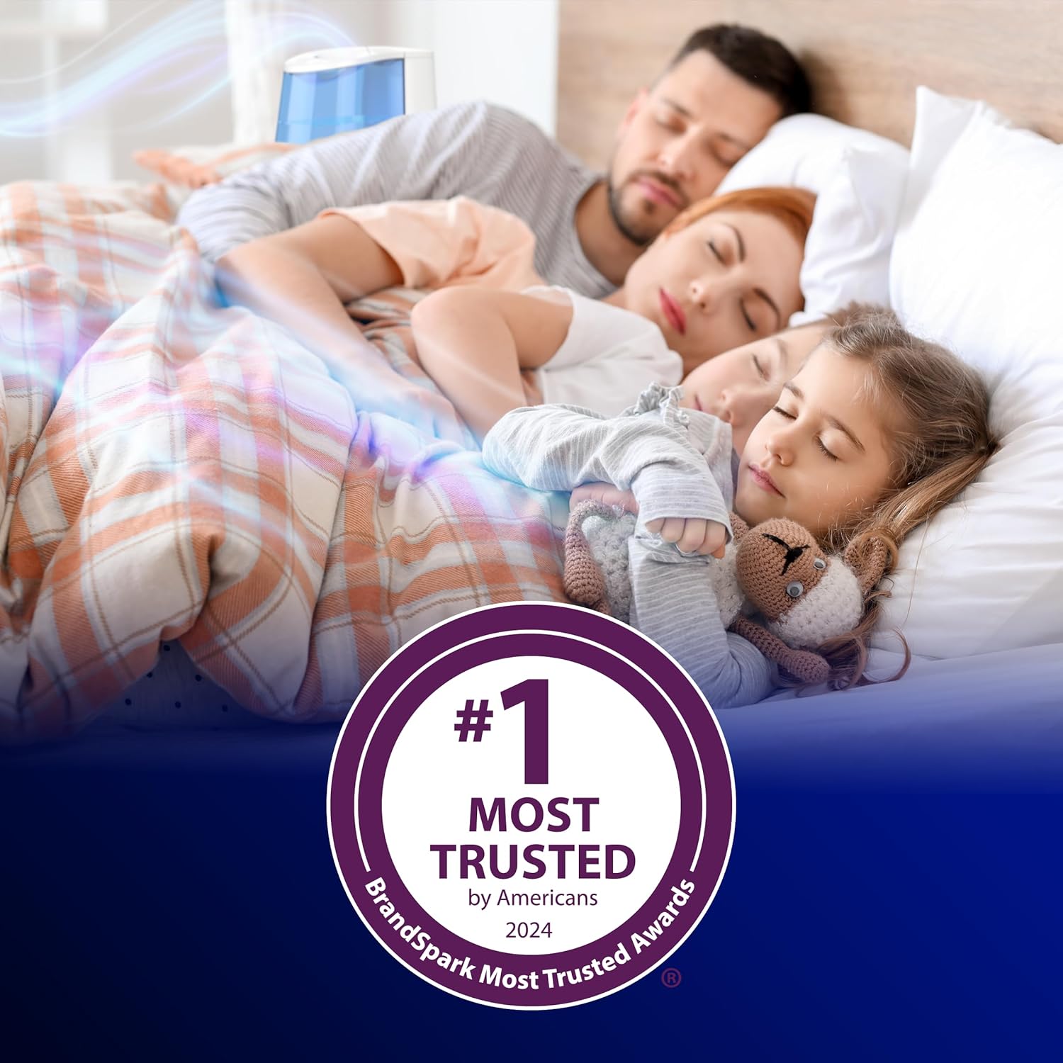 Vicks Warm Mist Humidifier V745A 1 Gallon - Is It Worth the Price?