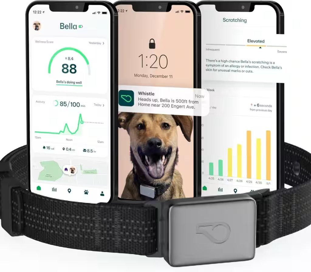 Whistle Health Smart Dog Collar GPS Tracker Review: Why 15,000+ Amazon Buyers Can't Stop Raving About It - Product Image