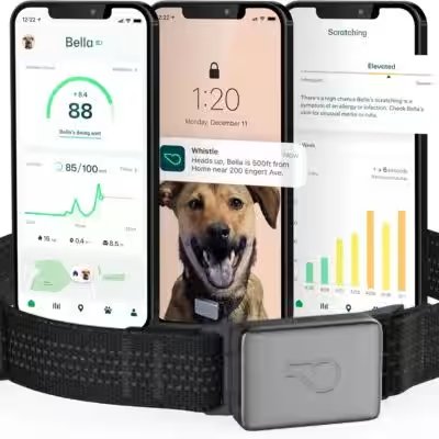 Whistle Health Smart Dog Collar GPS Tracker Review: Why 15,000+ Amazon Buyers Can't Stop Raving About It - Product Image