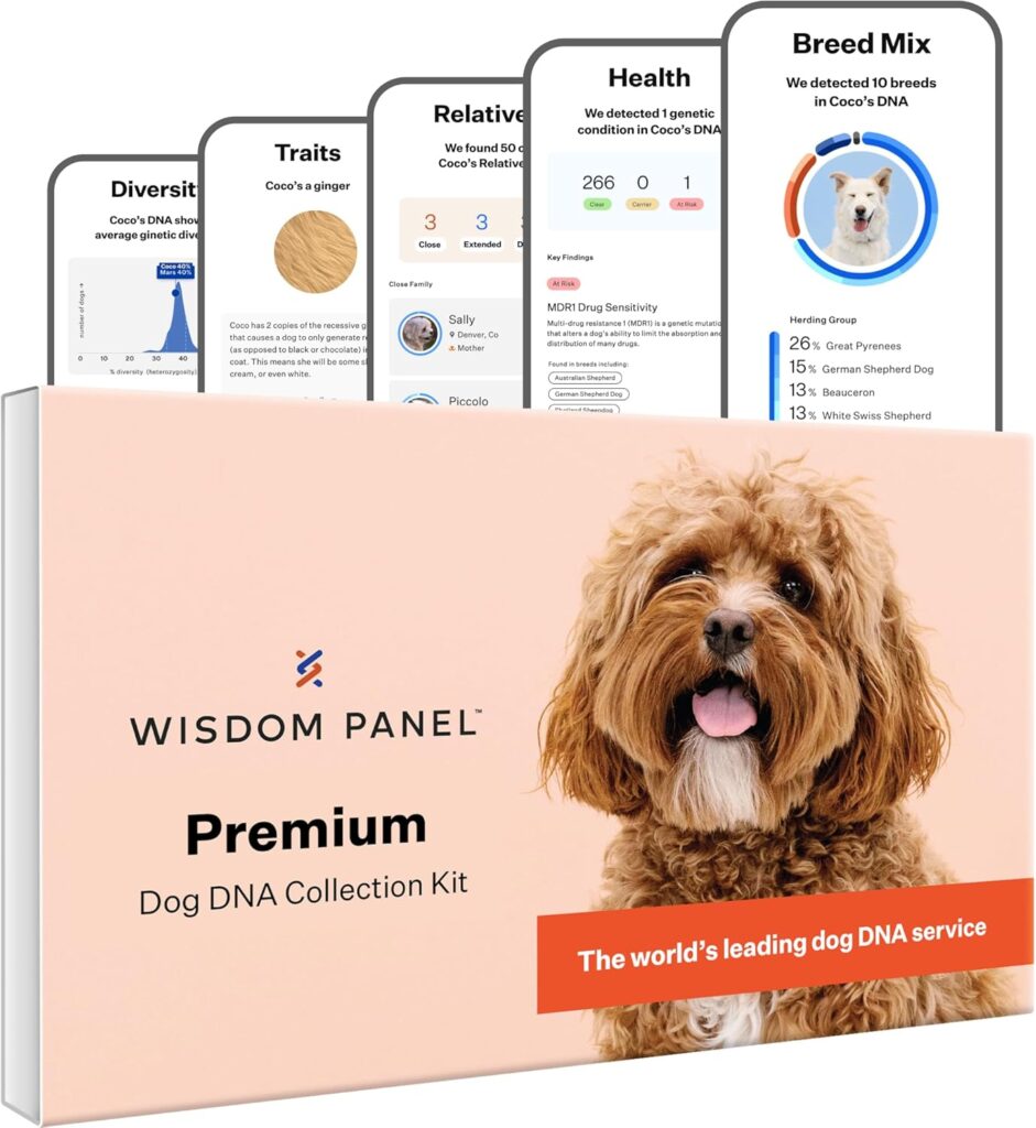 Wisdom Panel Premium Dog DNA Test Kit Review — 60,000+ Amazon Ratings Later, Here's Our Honest Verdict - Product Image