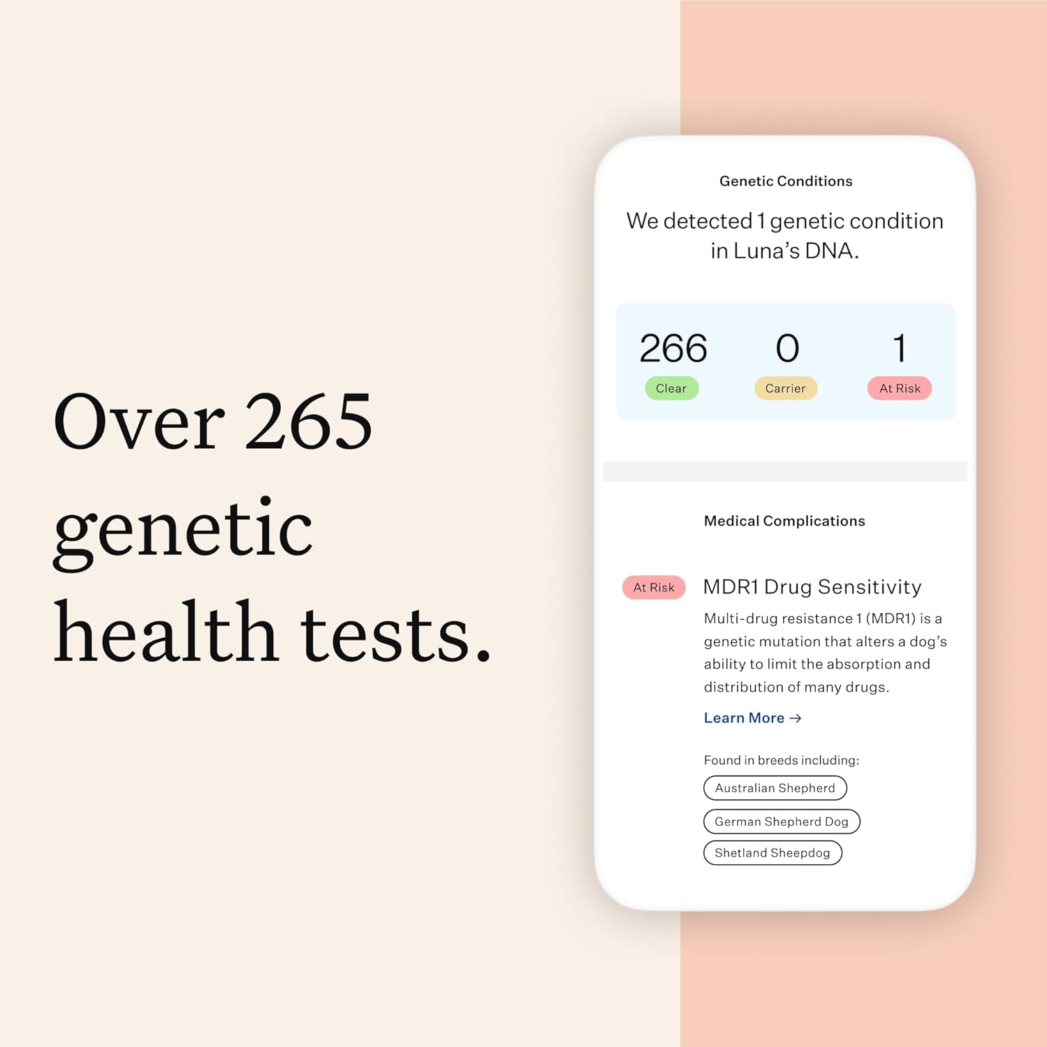 Wisdom Panel Premium Dog DNA Test Kit - Real-World Performance