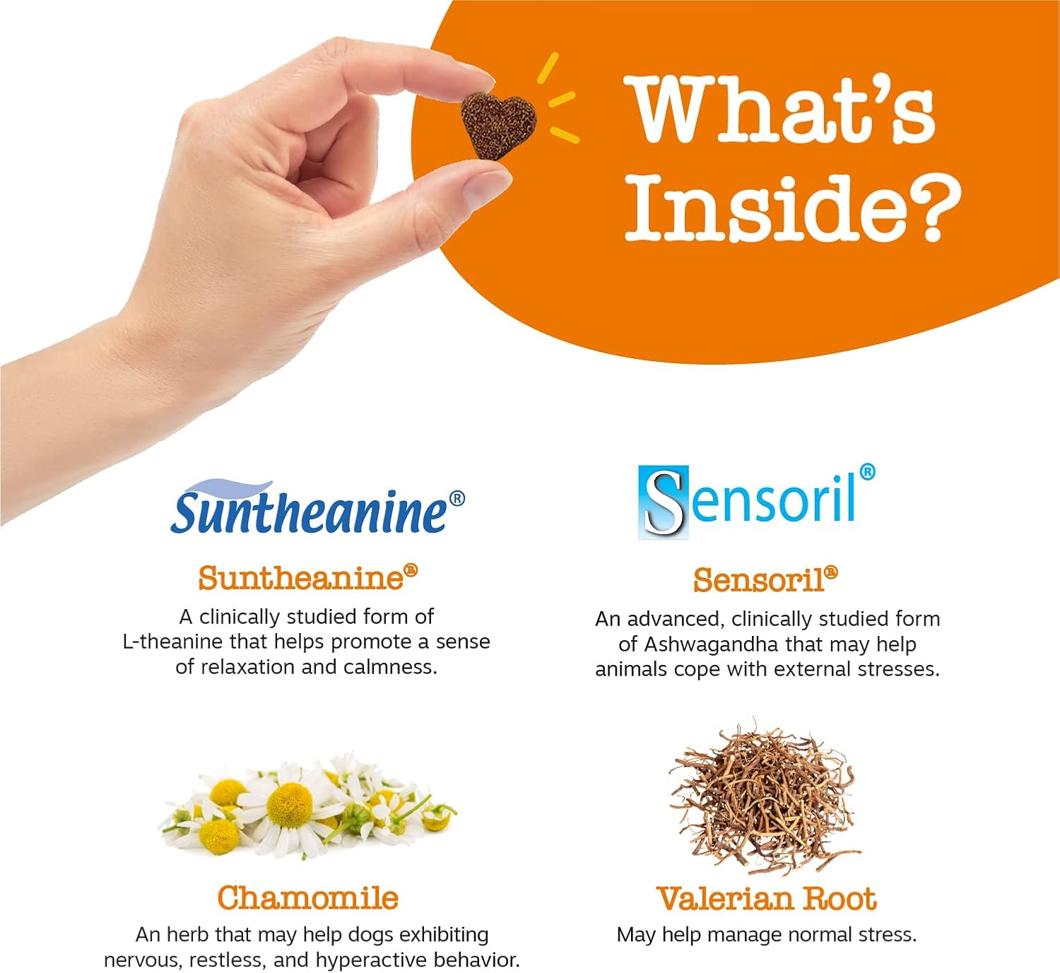 Zesty Paws Calming Bites Stress Relief Dog 90 Soft Chews - Design and Build Quality