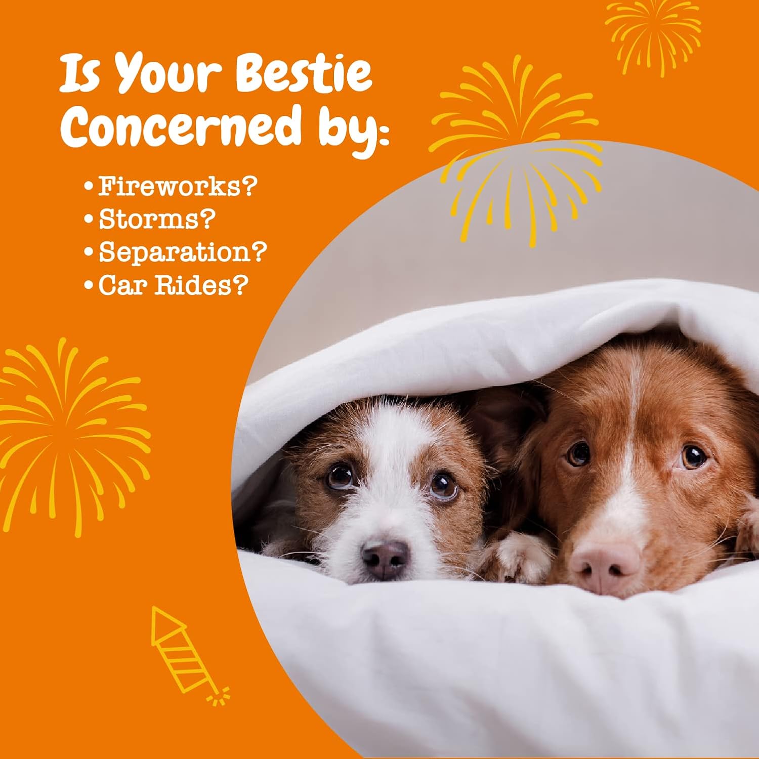 Zesty Paws Calming Bites Stress Relief Dog 90 Soft Chews - How It Compares