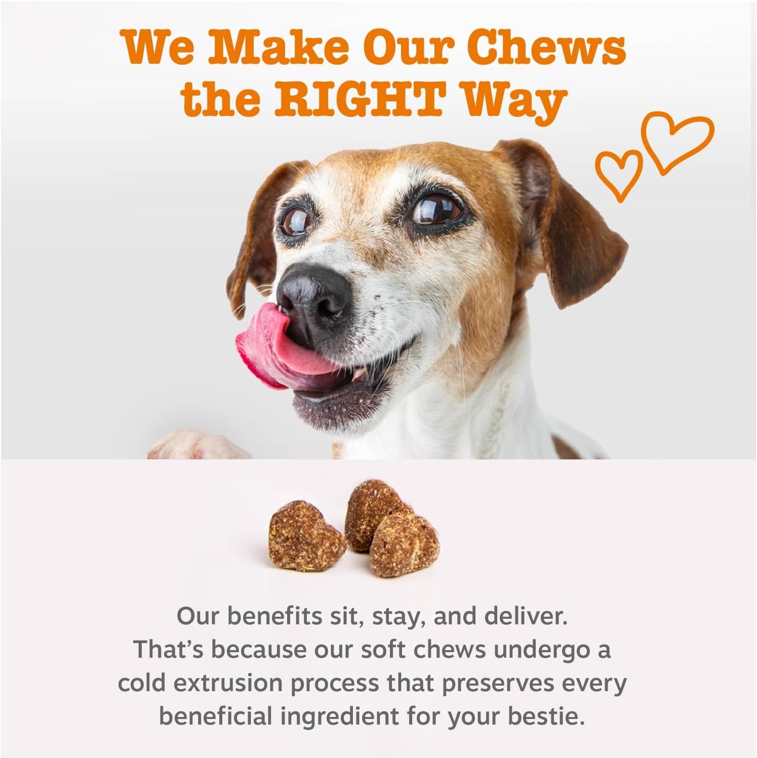 Zesty Paws Multivitamin Treats for Dogs All Ages 90 Count - How It Compares